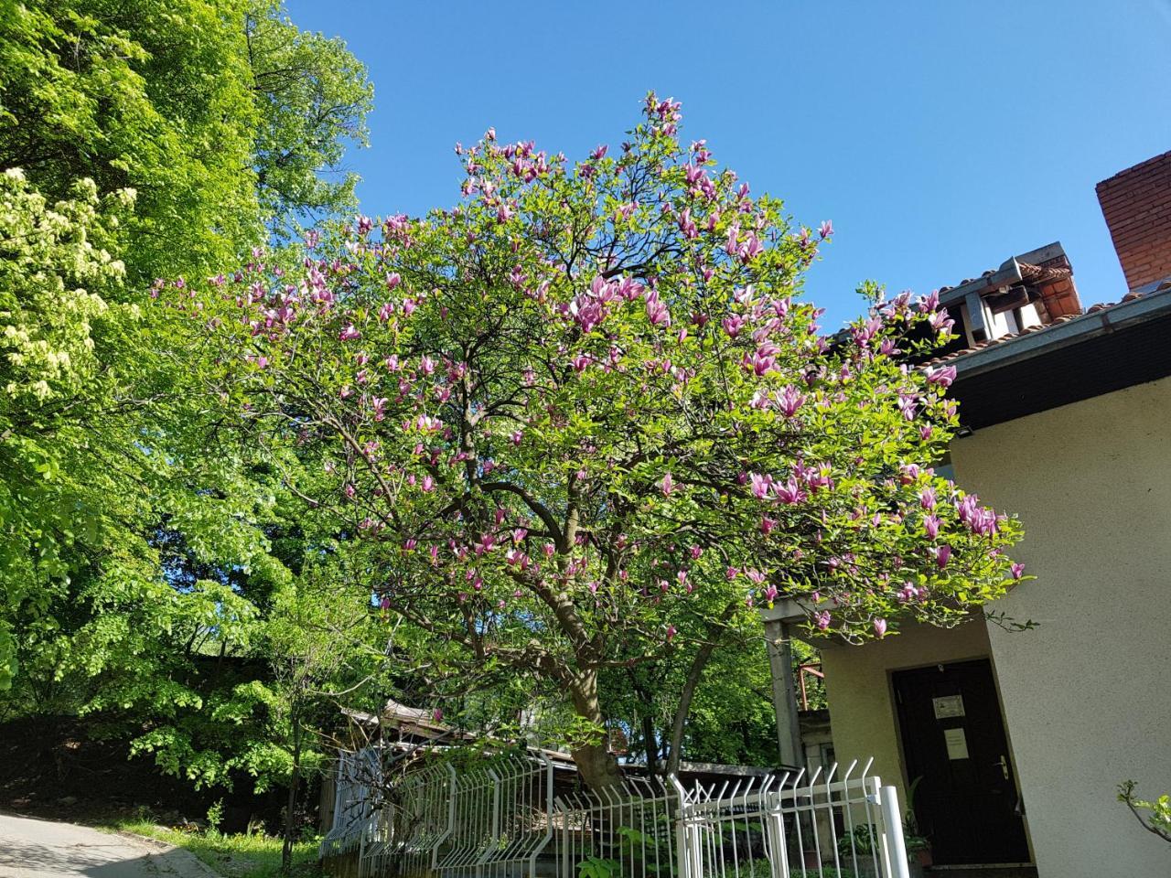 Nena & Rale Rooms โดนยี มิลาโนวัซ ภายนอก รูปภาพ